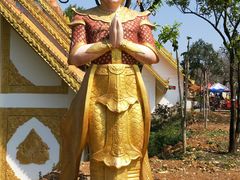 -瑞丽独树成林风景区