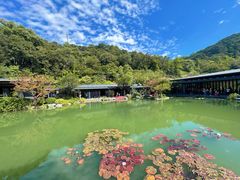 -云溪植物园