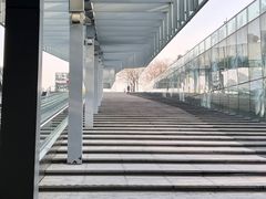 -城市阳台