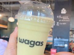 -Wagas沃歌斯(深圳印力中心店)