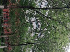 -山东大学(千佛山校区)