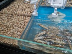 -盒马鲜生(曜一城店)