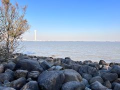 -上海吴淞炮台湾国家湿地公园