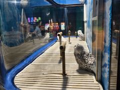 -成都浩海立方海洋公园