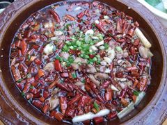 -西木兔(大圆祥店)