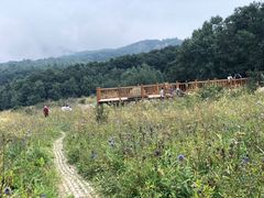 -白草畔自然风景区