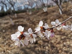 -滨河世纪广场公园