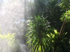 -呀诺达热带雨林
