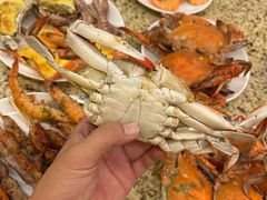 -禾斗海鲜自助(市南银座店)