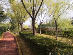 -西安汉城湖景区