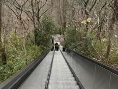 -天目湖山水园