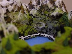 -慕可创意美学·定制CAKE·微景观蛋糕(总店)