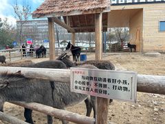 -太原动物园