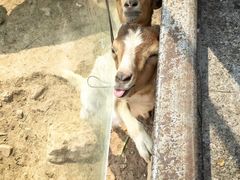 -无锡动物园·太湖欢乐园