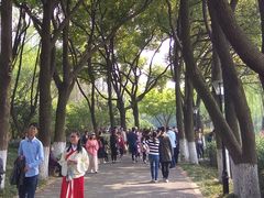 -圩墩遗址公园