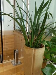 -纤纤玉手美甲美睫美容