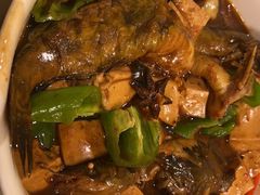 昂刺鱼烧豆腐-吉事利茶餐厅