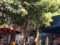 -蜀宴新村·柴火鸡(柏水店)