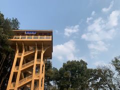 -缙云山景区