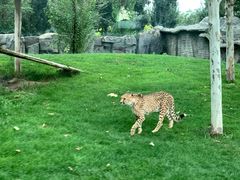 -北京野生动物园