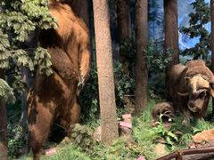 -陕西自然博物馆