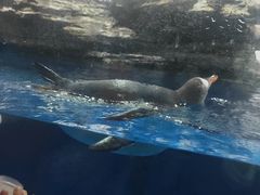 -西安华夏文旅水世界