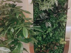 -润和养生·影音足道·按摩SPA(虹梅路店)