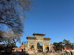 -北陵公园