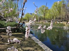 -元大都城垣遗址公园