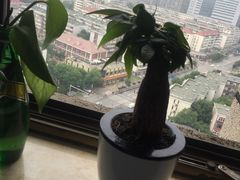 -锦龙国际酒店(天津奥体中心华苑地铁站店)