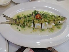 -有腥气私房菜·寻味顺德