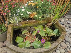 -冰冰龙虾·江湖菜·花园江景餐厅