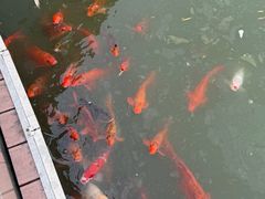 -春晖园度假酒店温泉