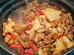 -蛙小侠(古镇大信新都汇店)