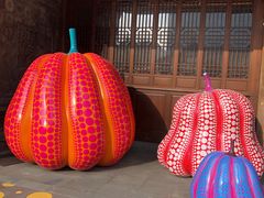 -ZARA(成都远洋太古里店)