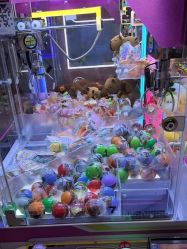 -卡通尼·Safari非洲探索乐园·生日会(金桥国际商业广场店)