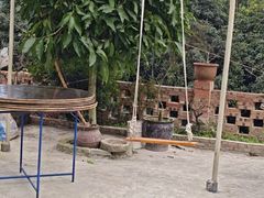 -铁山坪森林公园