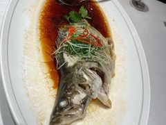 葱油淋桂花鱼-南景饭店(万家丽路店)