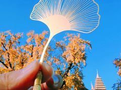 -北京石刻艺术博物馆(五塔寺)