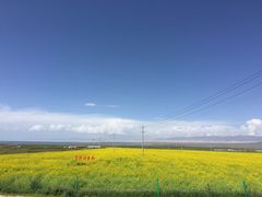 -青海湖国家重点风景名胜区