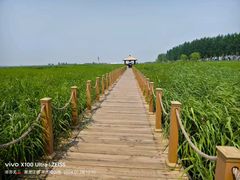 -黑龙江扎龙生态旅游区