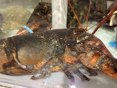 -山海经·海边人家 海鲜新青岛菜(扬州路店)