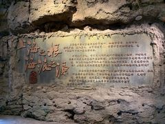 -广富林郊野公园