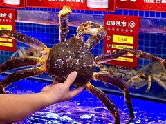 -驻海渔市(置信店)