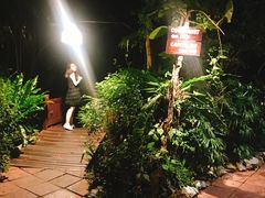 -卷心菜和避孕套餐厅(Pattaya)