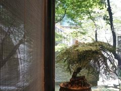 -鱼桥巷·美学川菜