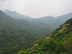 -梧桐山风景名胜区