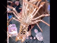 -霞涌市场海鲜摆卖区