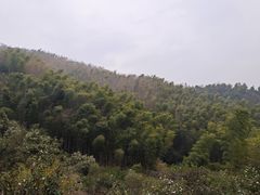 -梅岭月亮湾山体公园