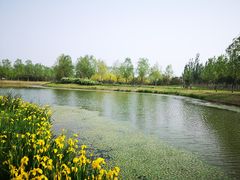 -东郊湿地公园